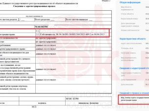 Как проверить правообладателя недвижимости в 2024 году